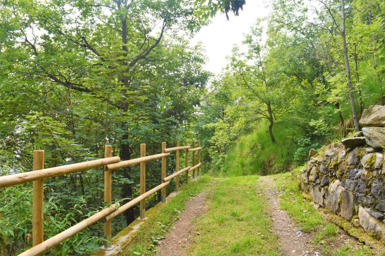 Gold Cave Casa Vacanze Relax Nel Bosco Appartamenti Pessinetto Luaran gambar